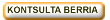 Kontsulta berria